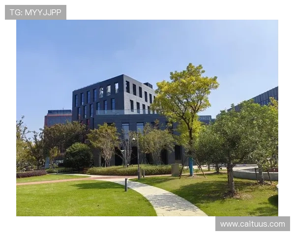 线上pt视讯行业发展趋势分析未来市场潜力与创新方向